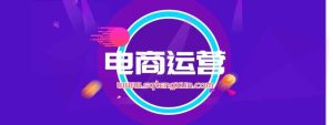 淘宝电商技术VIP,全网最先进的技术和玩法,靠谱技术包教包会,价值1599元-三青创库