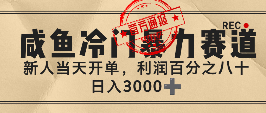 闲鱼，冷门暴力赛道，一单 80%利润，号称新人轻松日入 3000+-三青创库