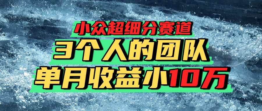 小众超细分赛道，号称一年百万利润的盘子！-三青创库