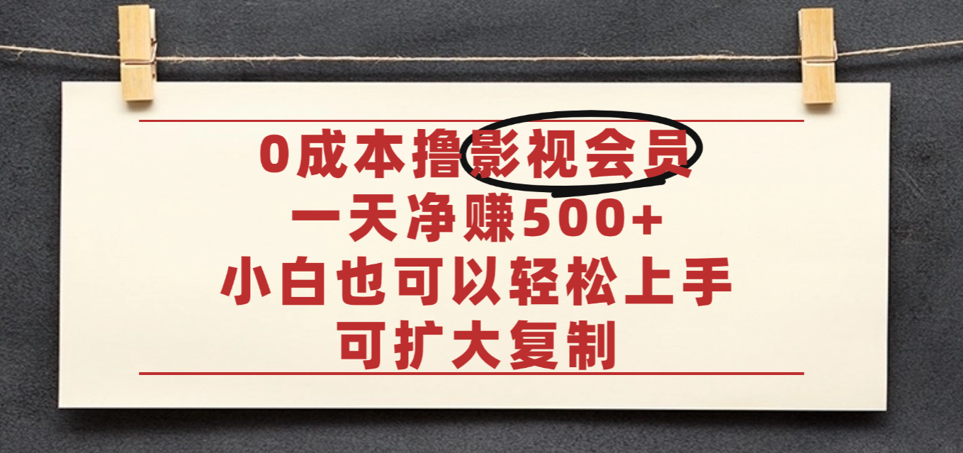 0成本可批量项目,靠卖影视会员实测月入30000+-三青创库