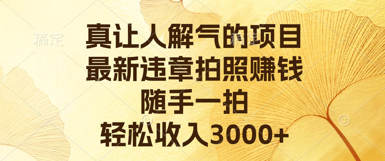 最新违章拍照赚钱，号称轻松收入3000+-三青创库